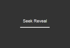 Seek Reveal